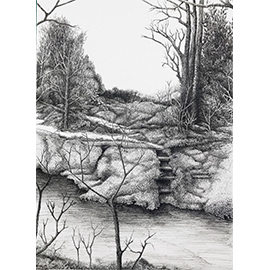 Deb J Marshall